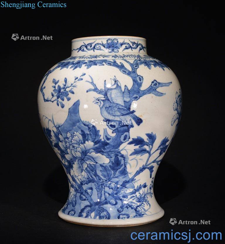 The Qing Dynasty A BLUE AND WHITE JAR