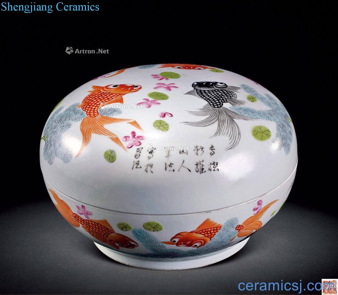 Pastel reign of qing emperor guangxu goldfish and box