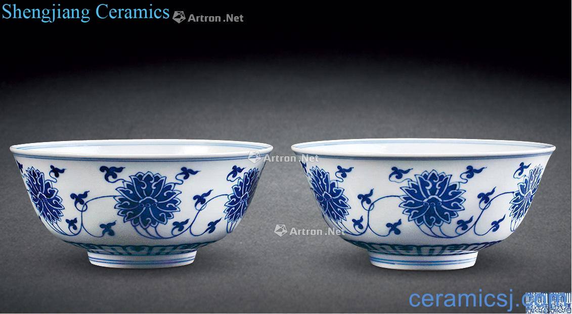 Qing daoguang Blue and white tie up lotus flower bowl (a)