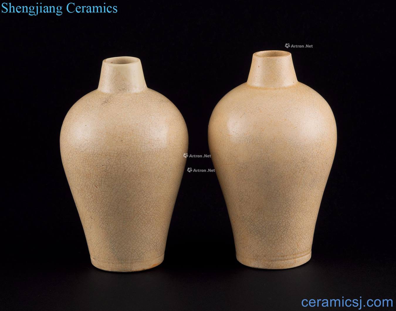 The song dynasty Jizhou kiln craft plum bottle (a)
