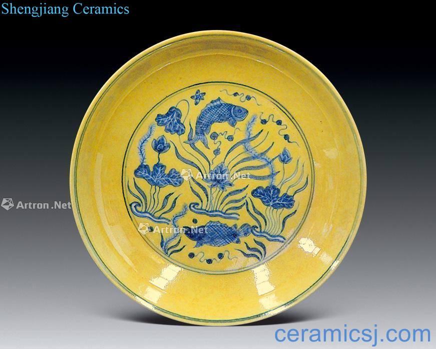 in Yellow glaze blue and white fish dish