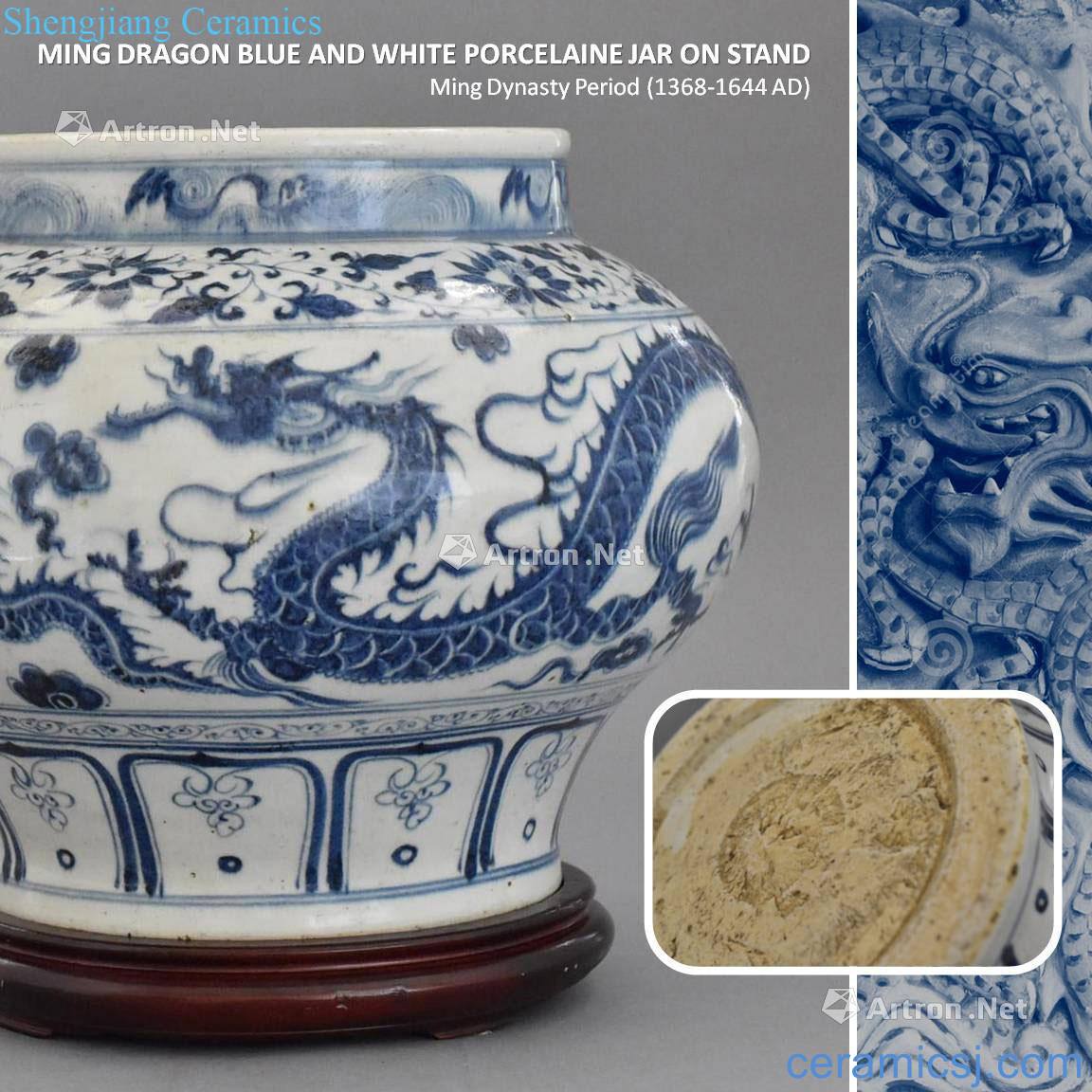 Ming Dynasty Ming DRAGON BLUE AND WHITE JAR ON the STAND