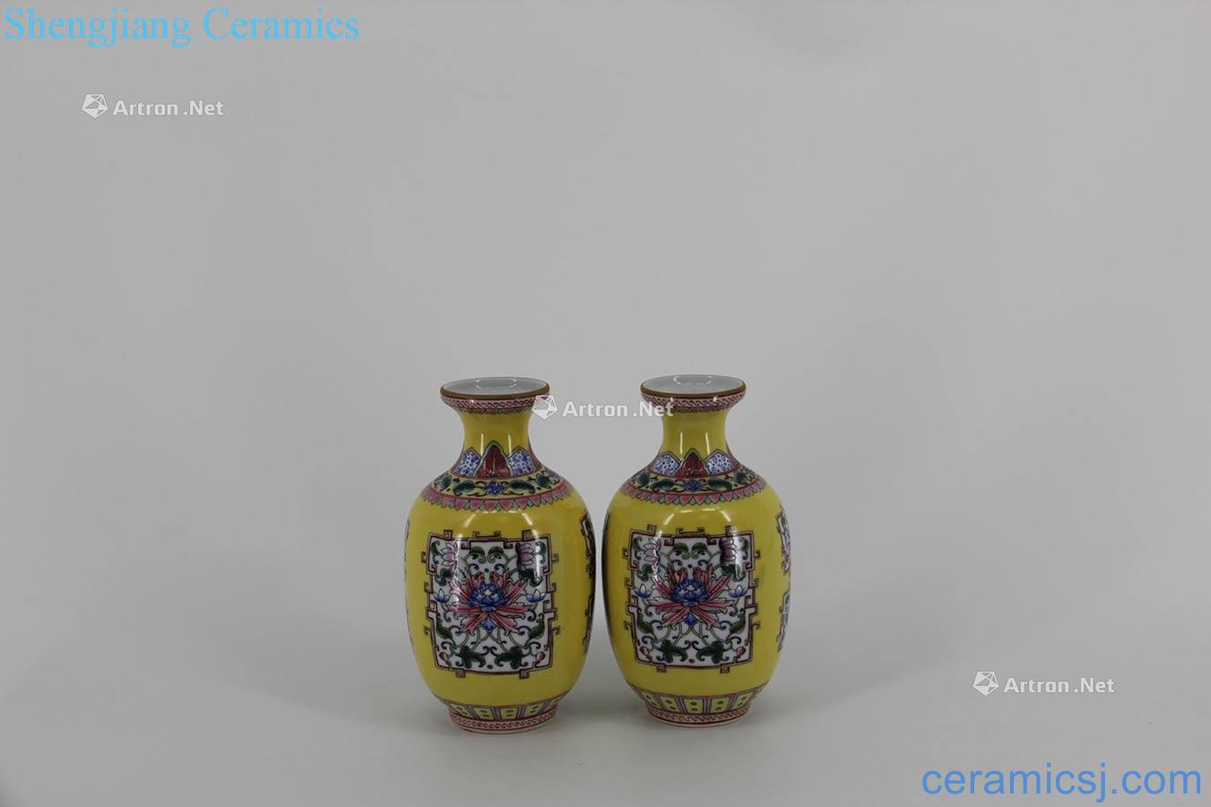 Qing yongzheng Yellow glaze enamel lotus pattern dish buccal bottle A pair of