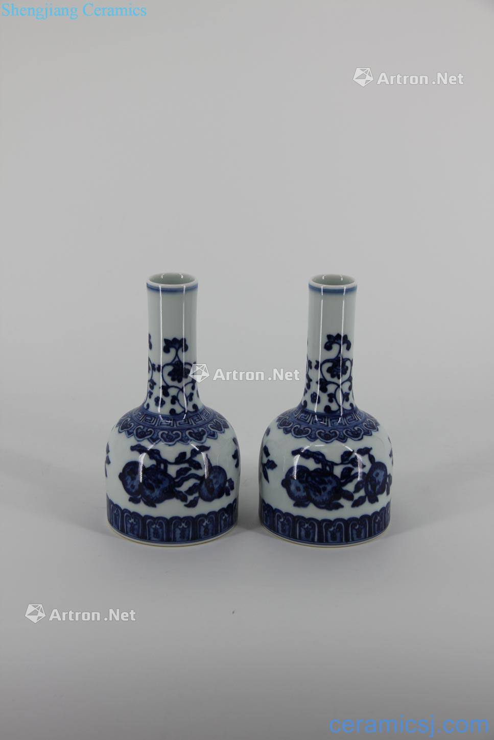 Qing qianlong blue-and-white lamented bottles A pair of