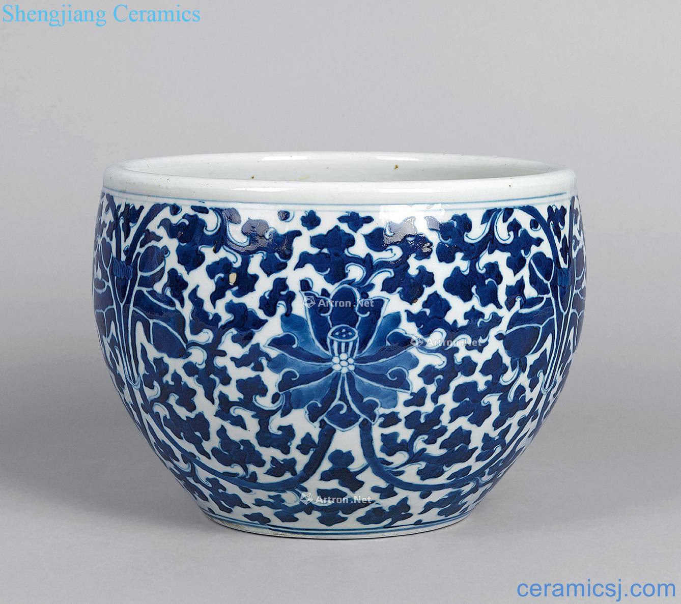 Qing dynasty blue and white flower grain tank (a)
