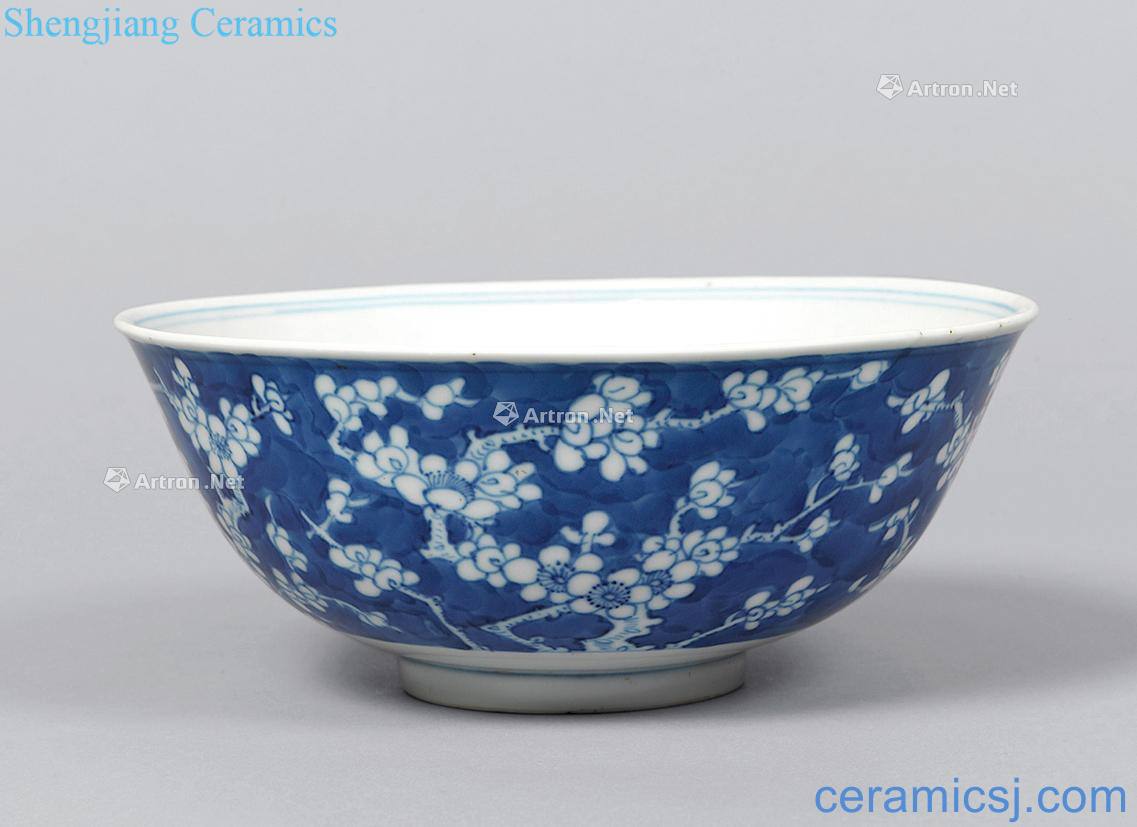 qing Blue and white salted and dried plum bowl