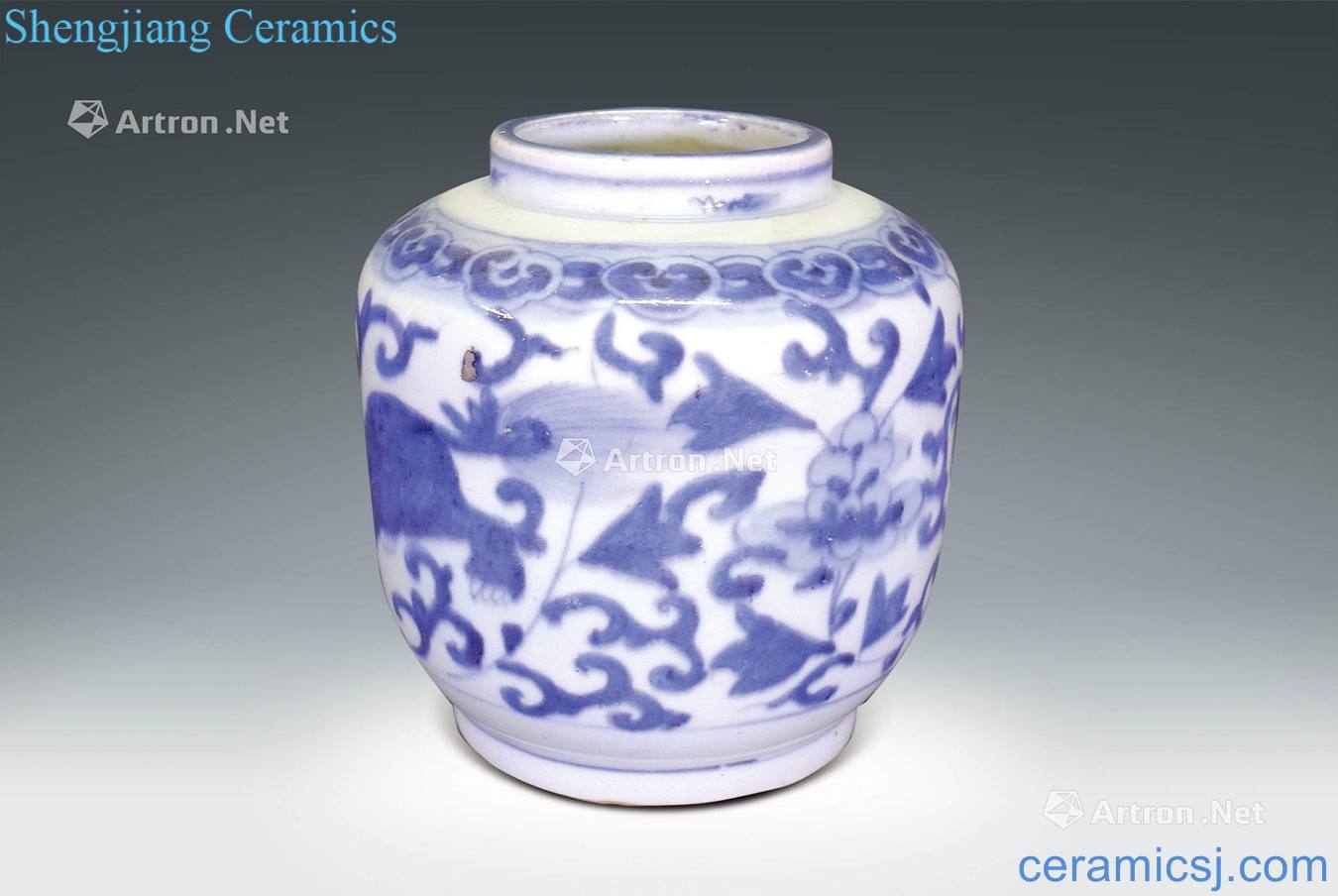 Qing dynasty blue and white flower grain tank