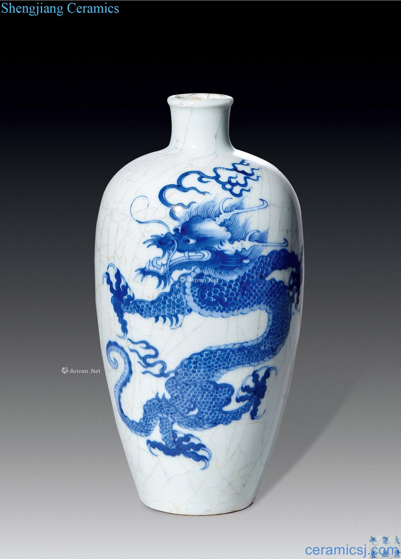 qing Blue and white dragon bottle