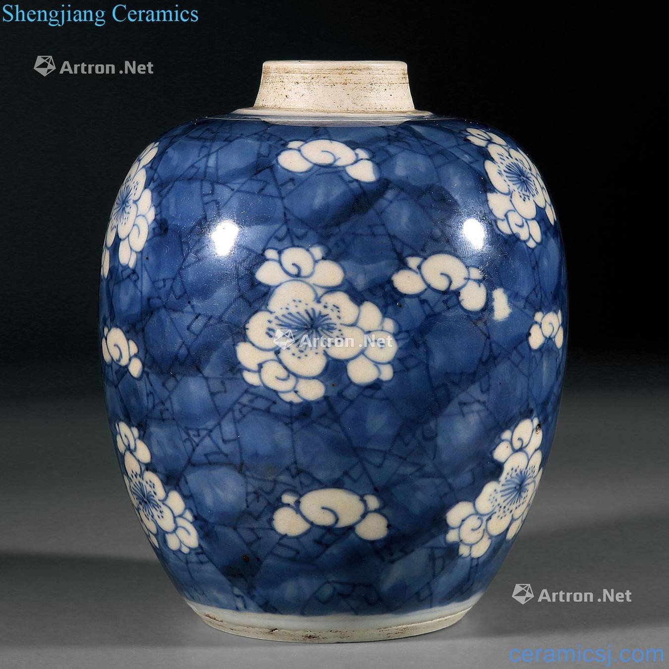 The qing emperor kangxi Blue and white ice mei tin