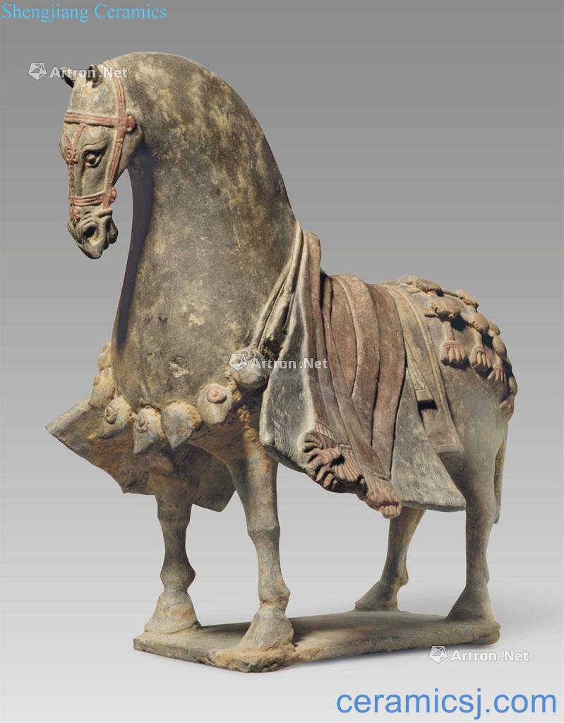 Northern wei dynasty Painted pottery horse