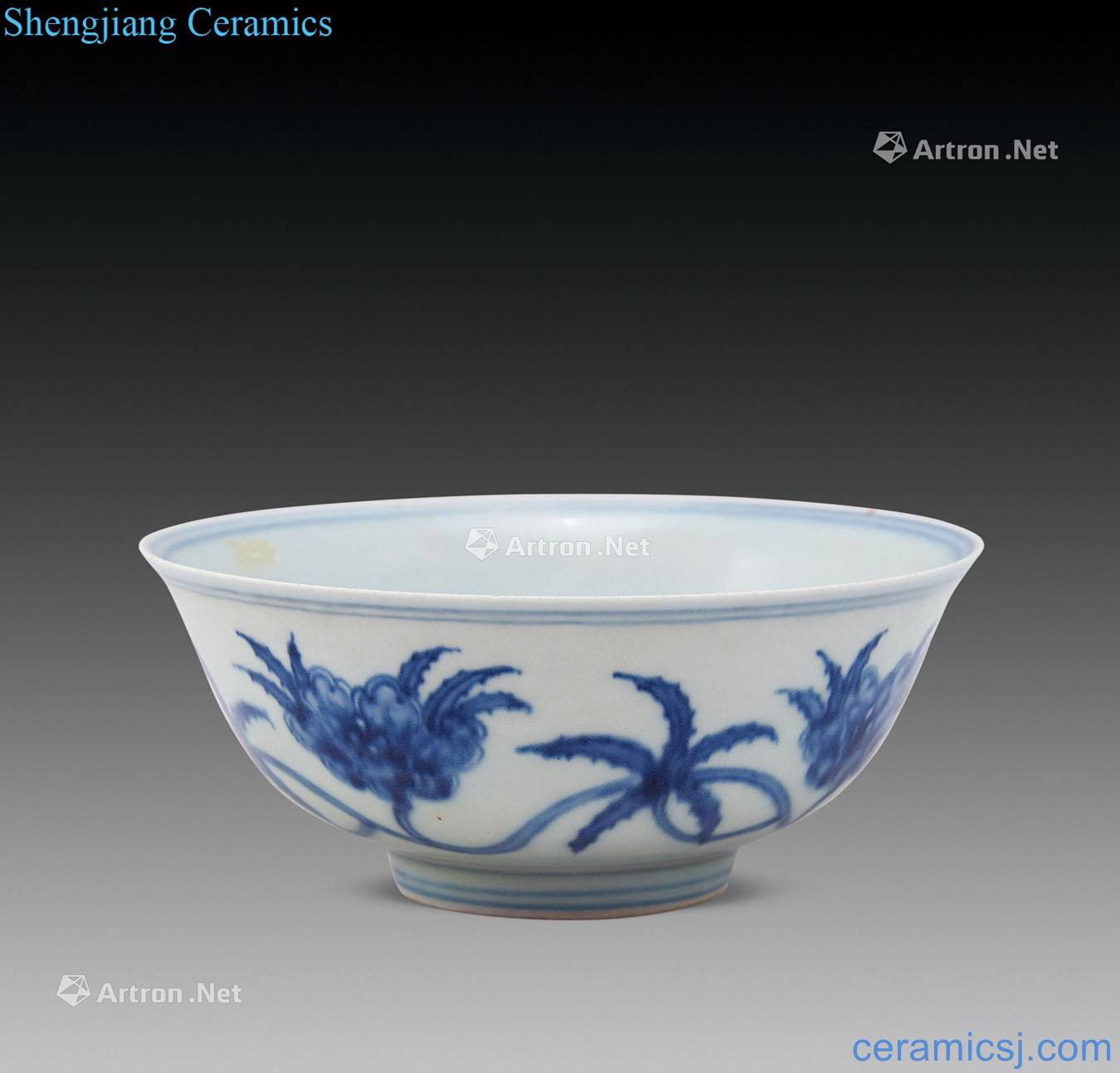 Ming Blue and white flower green-splashed bowls