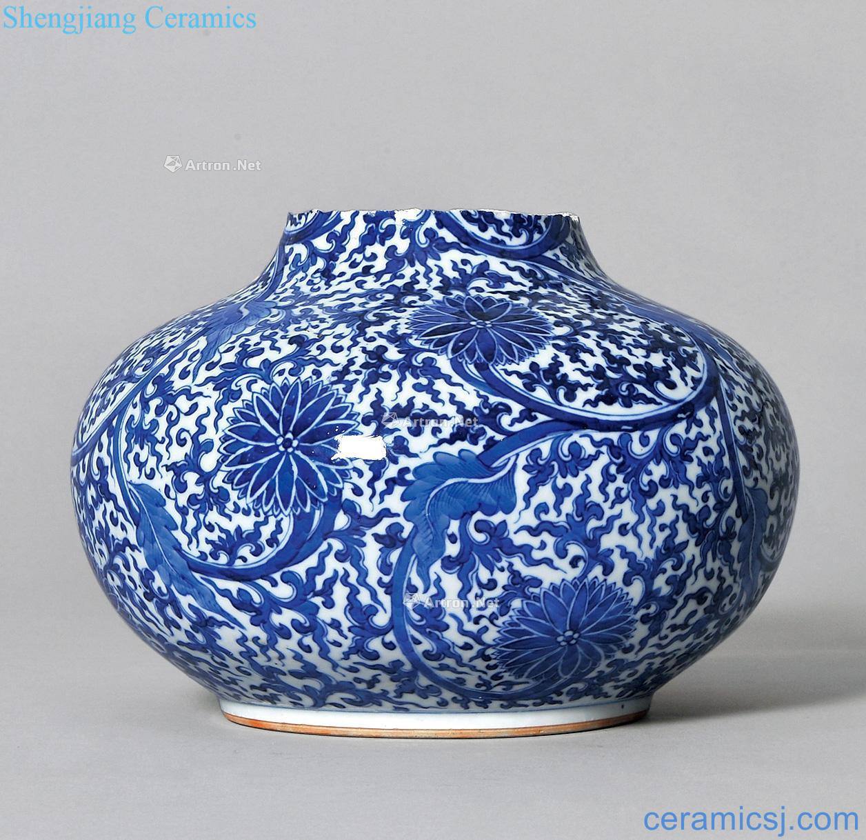 Mid qing Blue and white lotus flower grain bottle