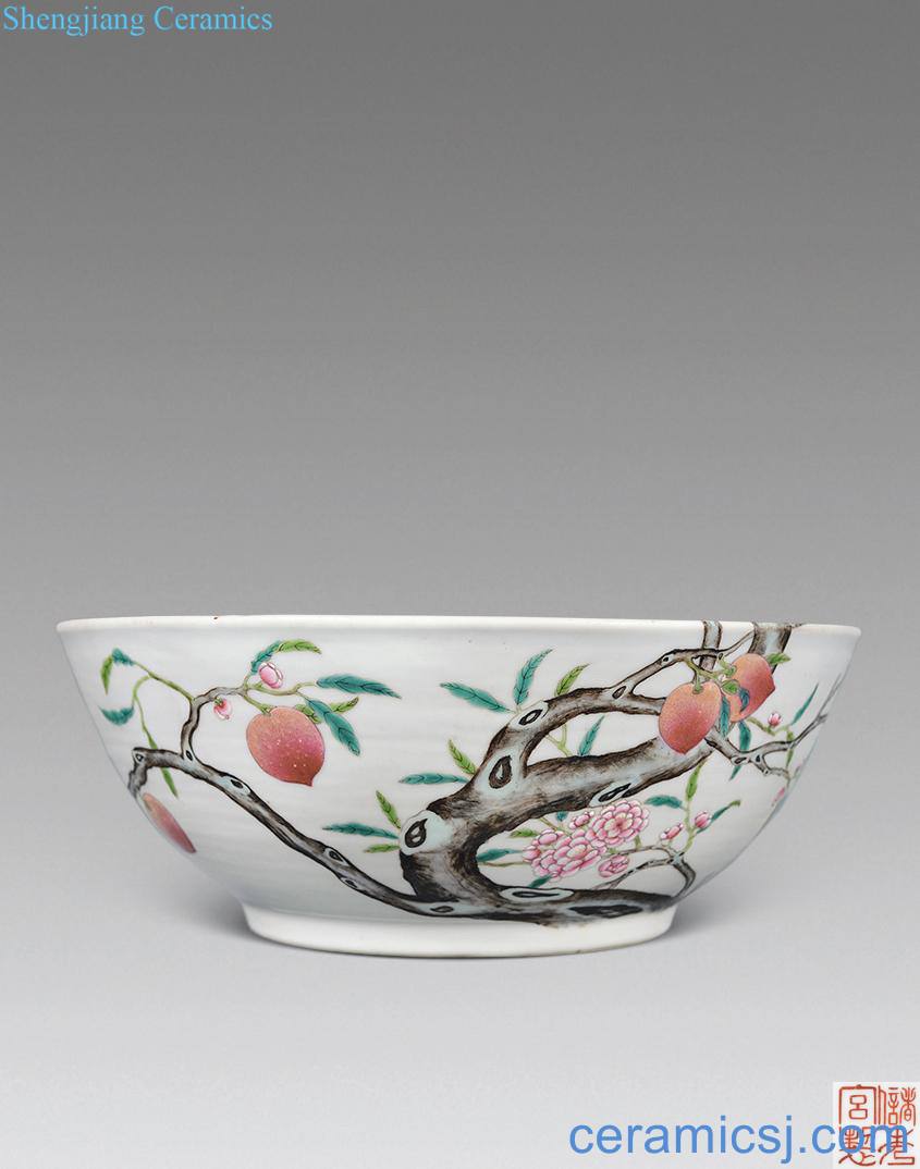 In late qing pastel branches live long and proper large bowl