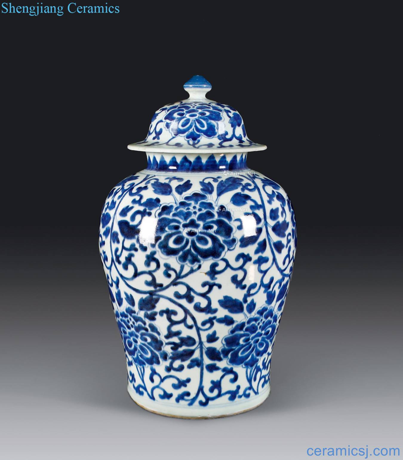 qing Blue and white peony general tank