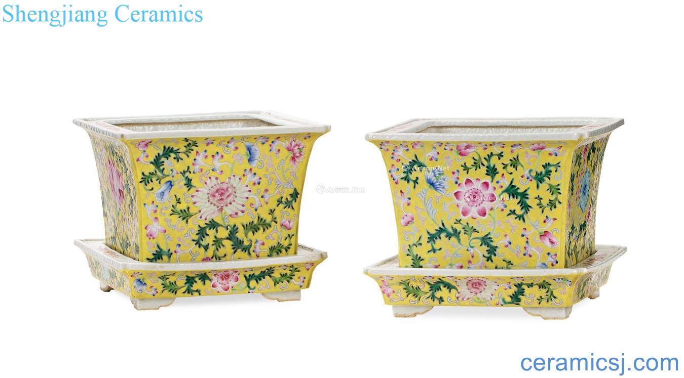 To pastel yellow tie up branch flowers grain flowerpot (a)