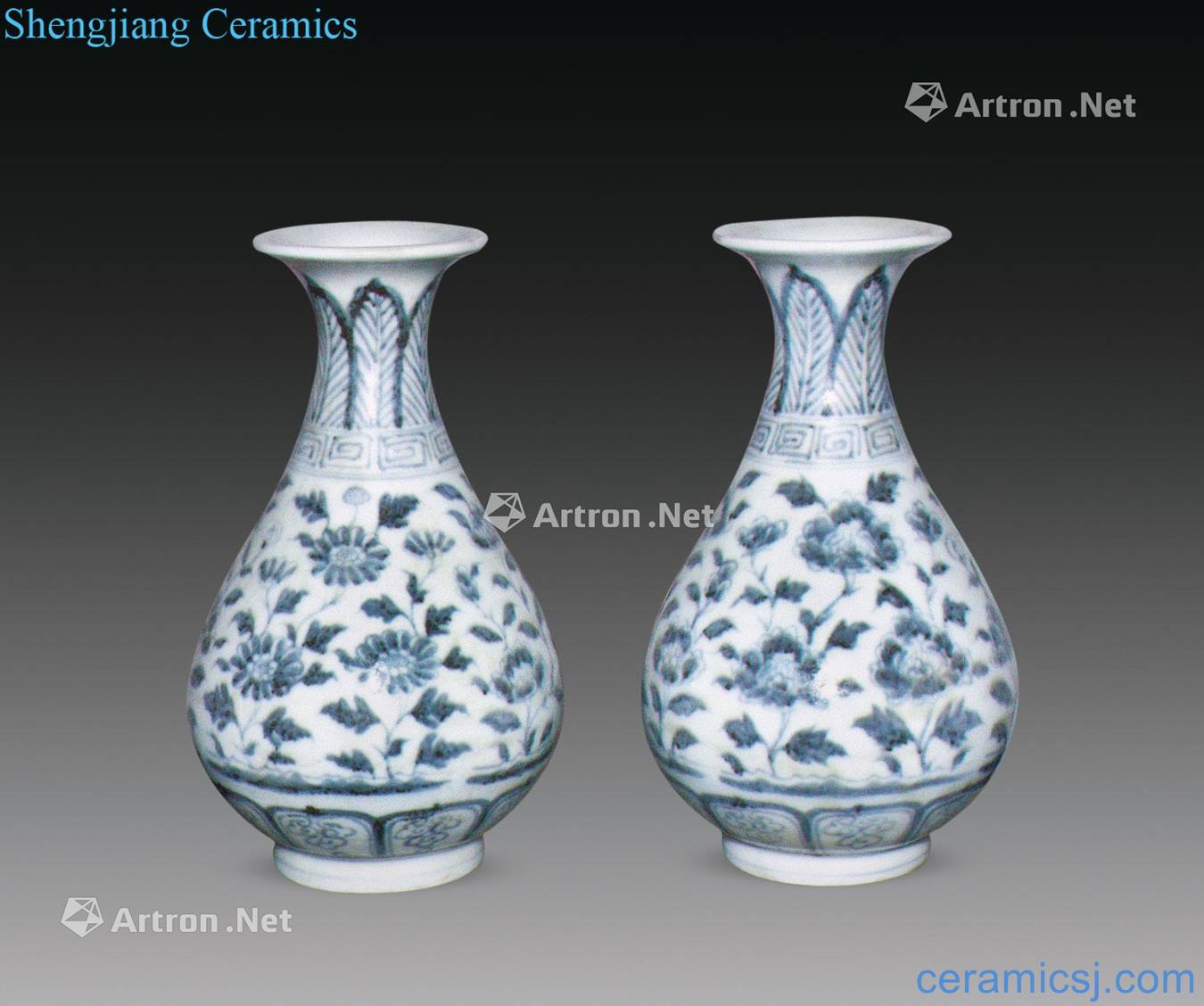 Ming Blue and white flowers okho spring bottle (a)
