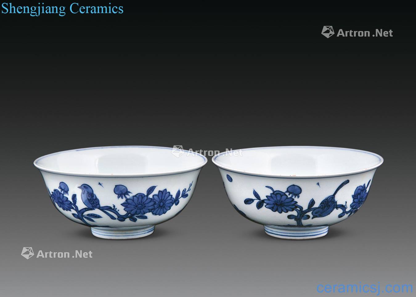 Ming Blue and white flowers and birds green-splashed bowls (a)