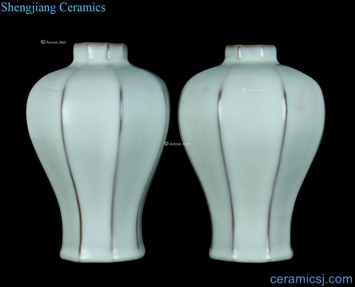 The song dynasty White glaze kiln month eight arrises mei bottle (a)