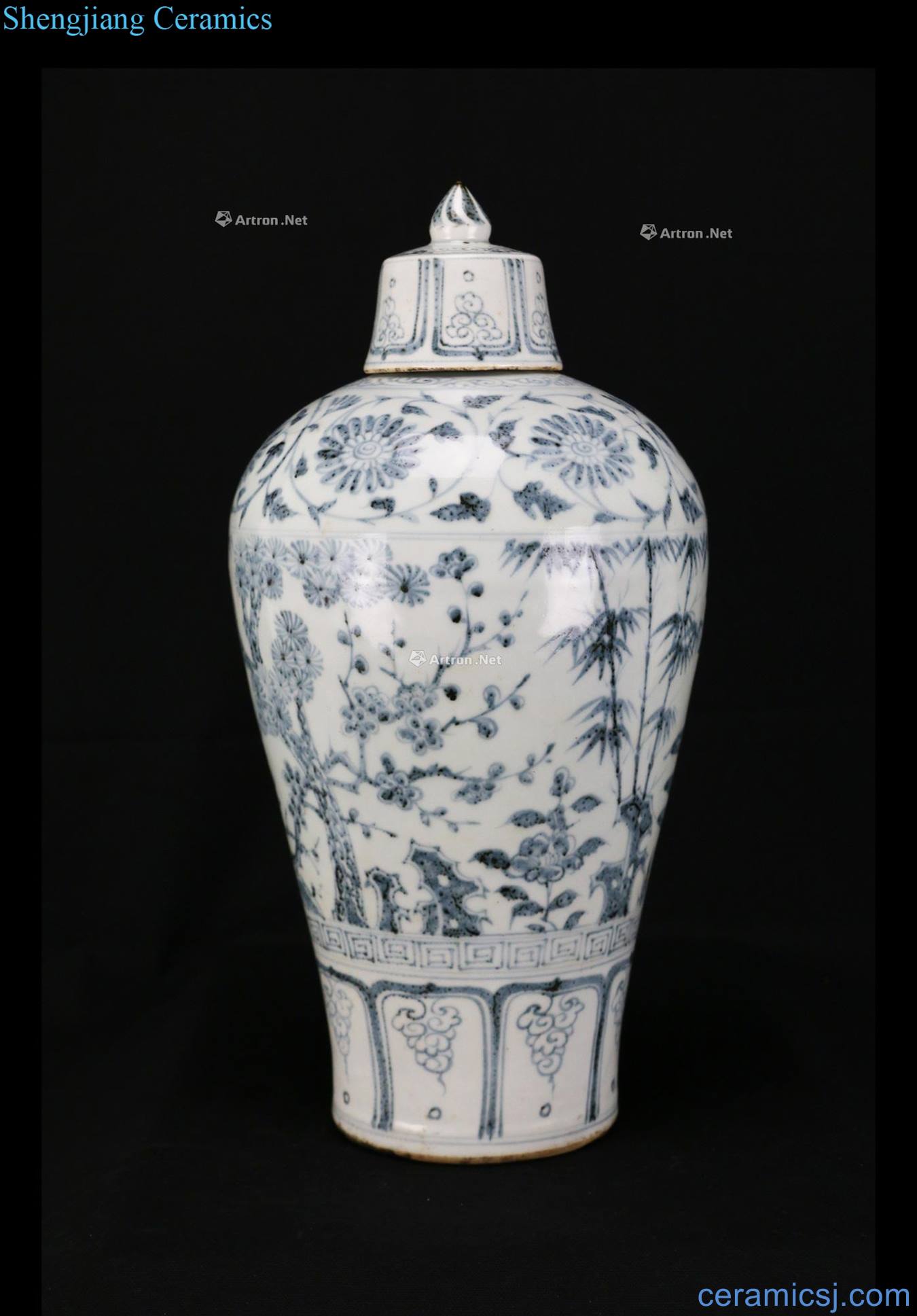 Ming Blue and white, poetic with cover bottle