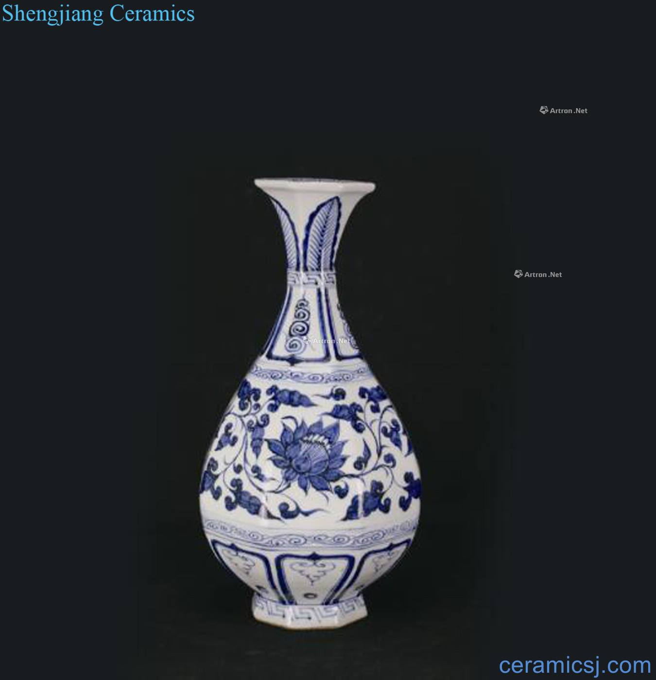 yuan Blue and white flowers eight arrises okho spring bottle wrapped branches