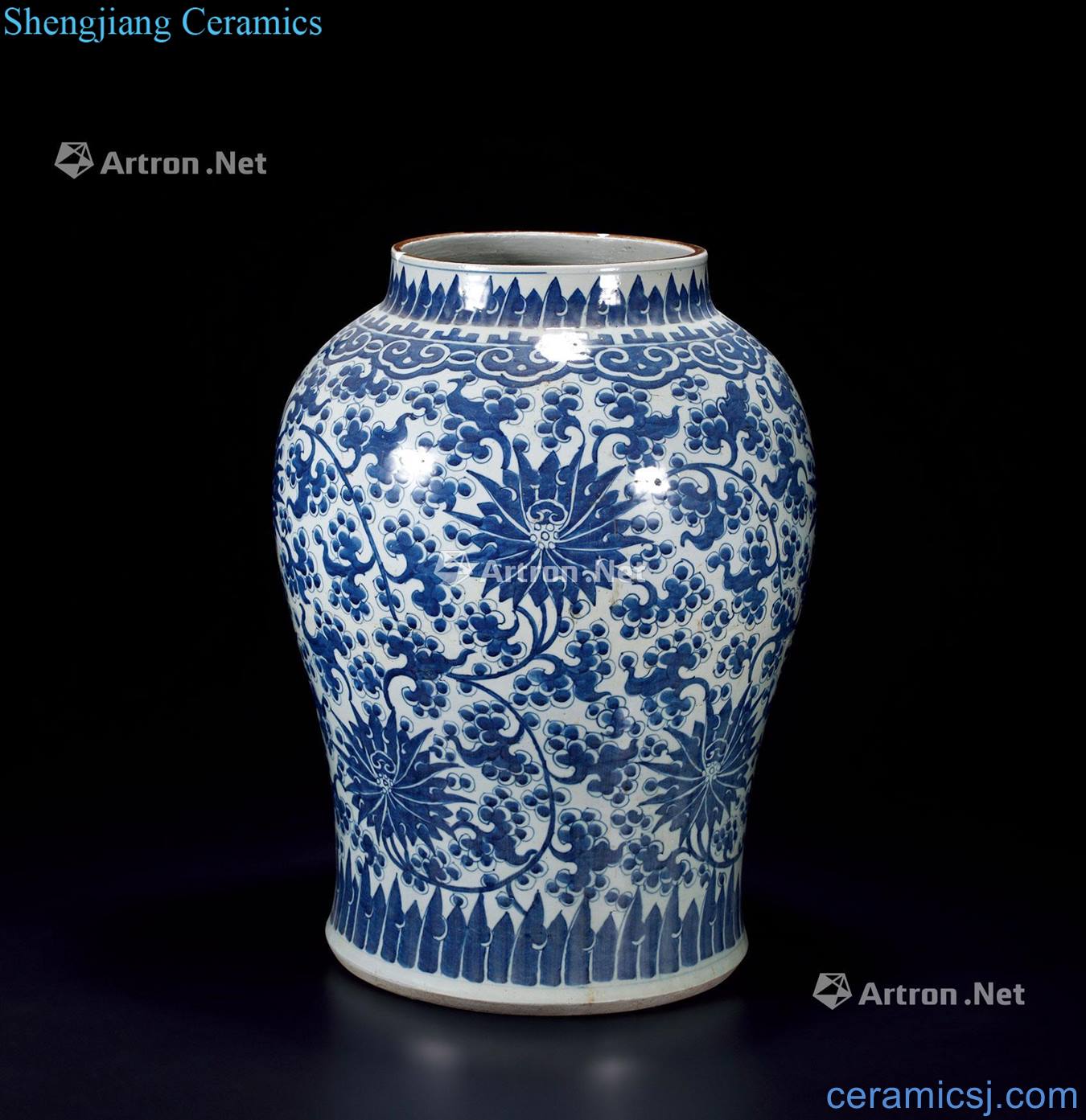 qing Blue and white lotus flower general tank