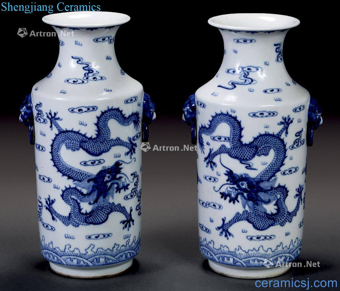 qing Blue and white vase with a cloud and dragon (2)