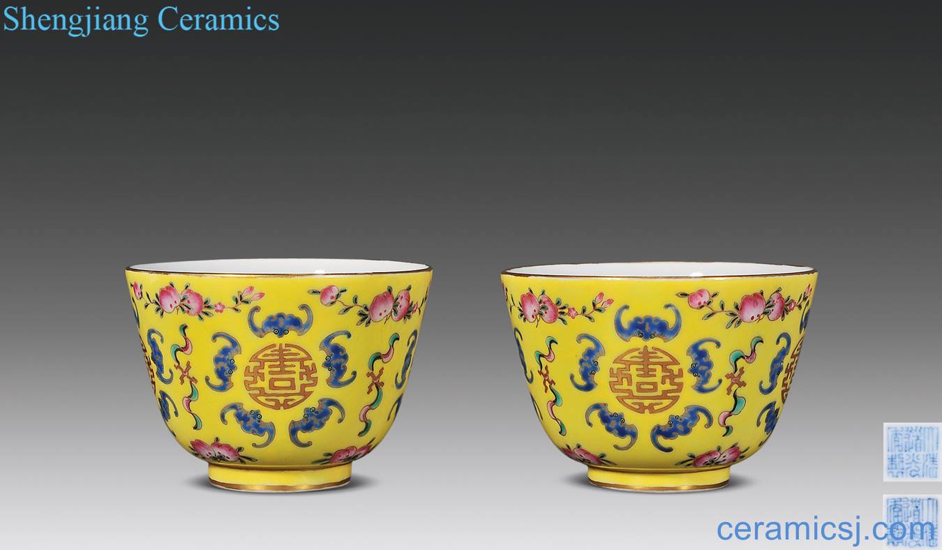 Qing daoguang Yellow powder enamel live lines cup (a)
