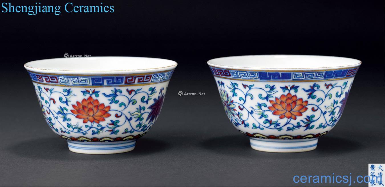 Xianfeng bucket color paint wrap lotus flower bowl (a)