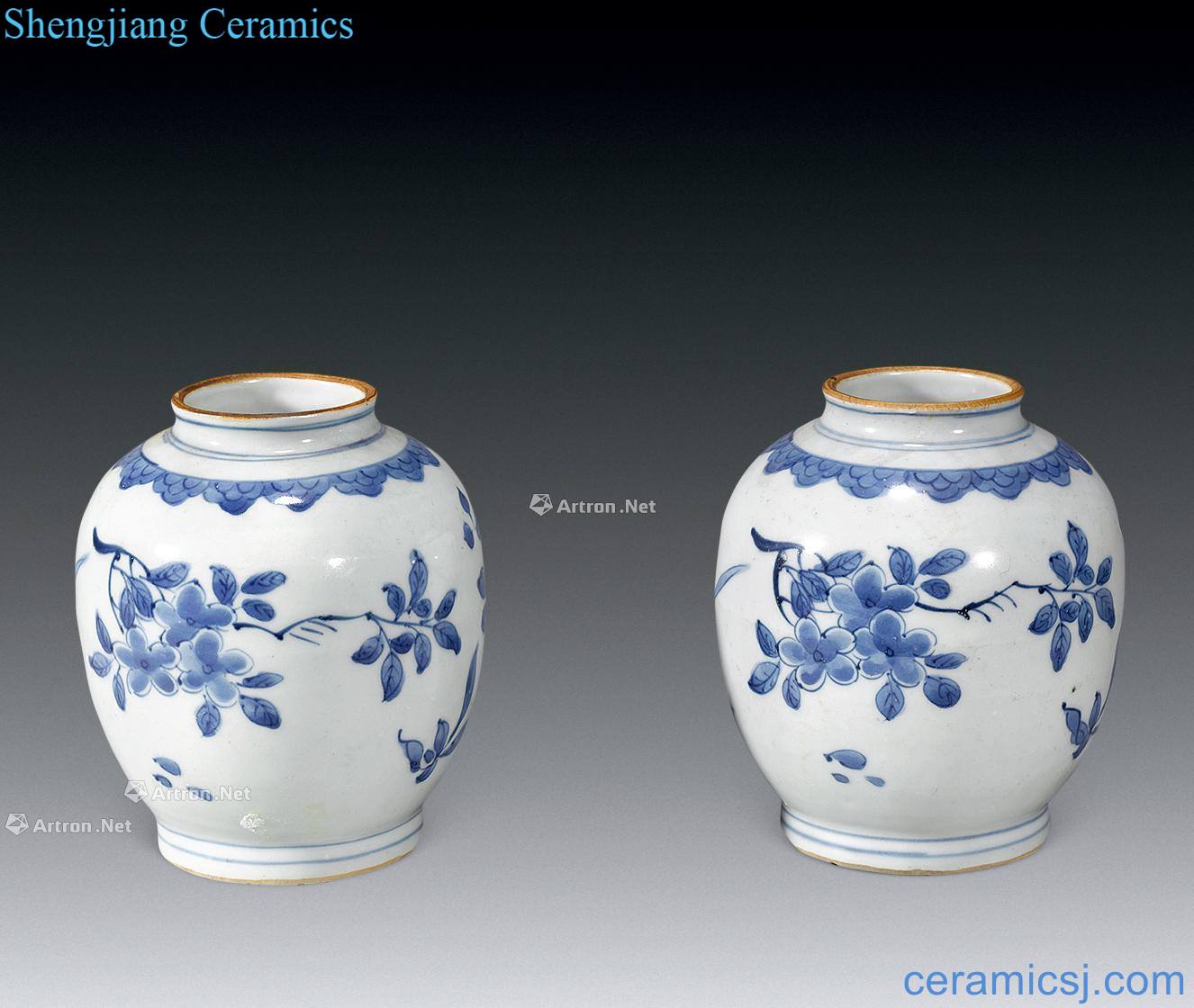 Qing fold branch grain blue and white flowers canister (a)