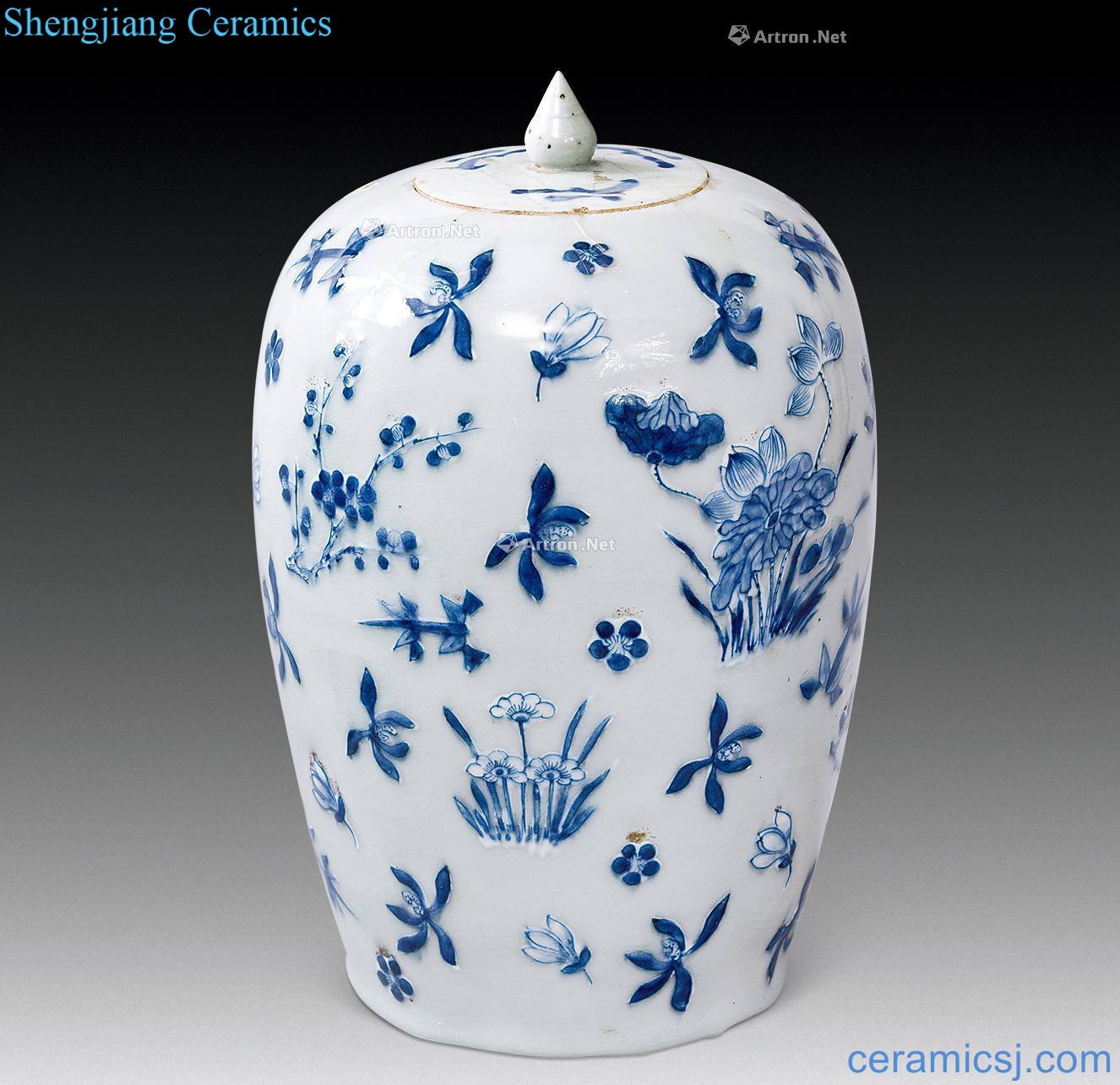 Qing dynasty blue and white flower grain pea green glaze white gourd cans