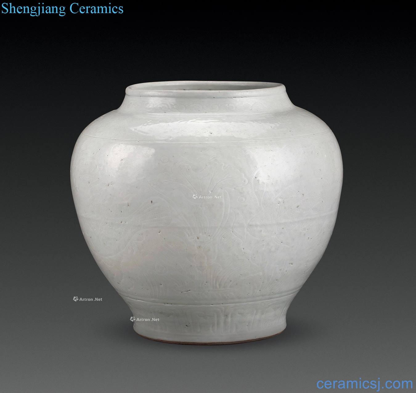 Ming dynasty White glazed dark carved fish algae lines cylinder