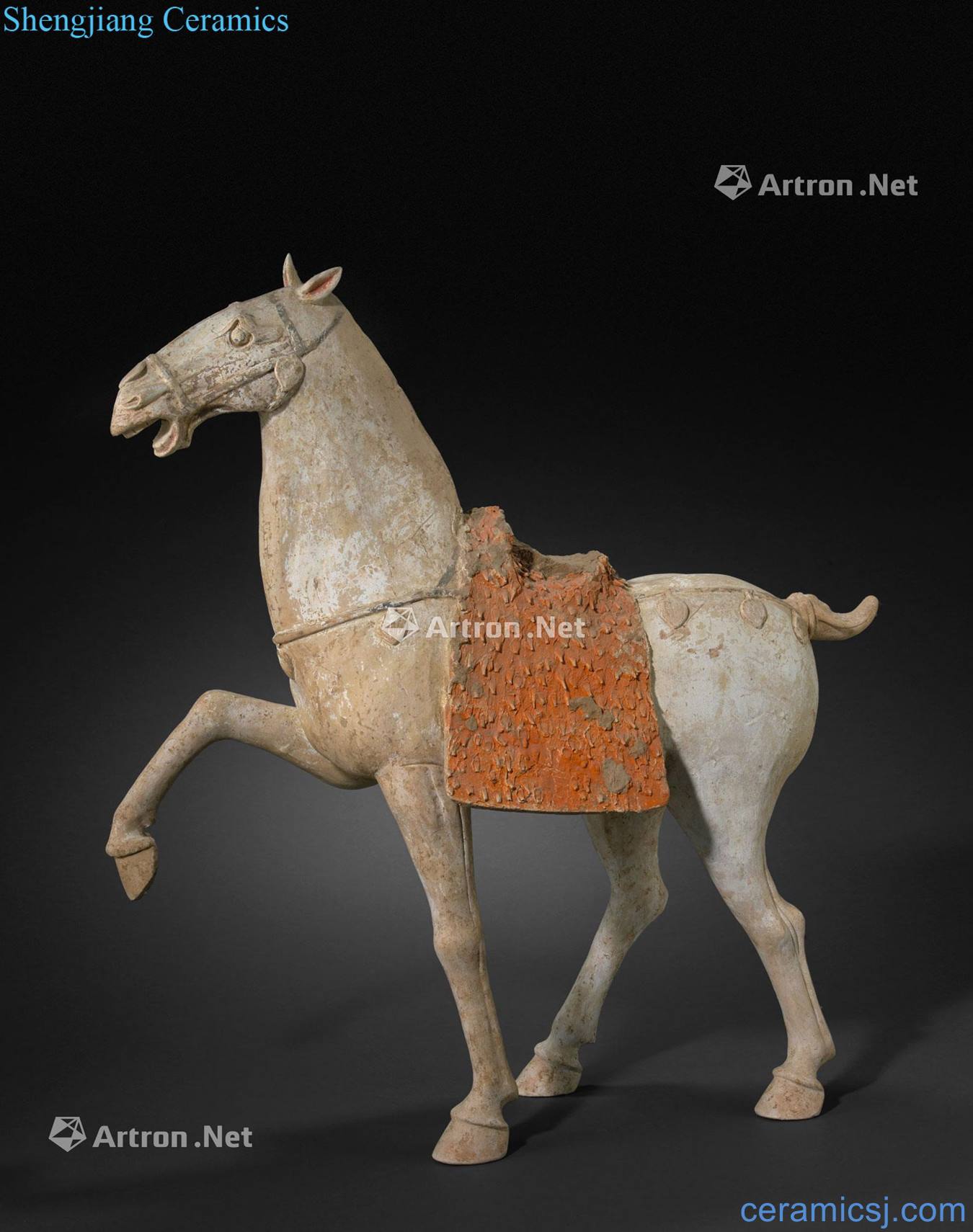 Tang tao horse like coloured drawing or pattern