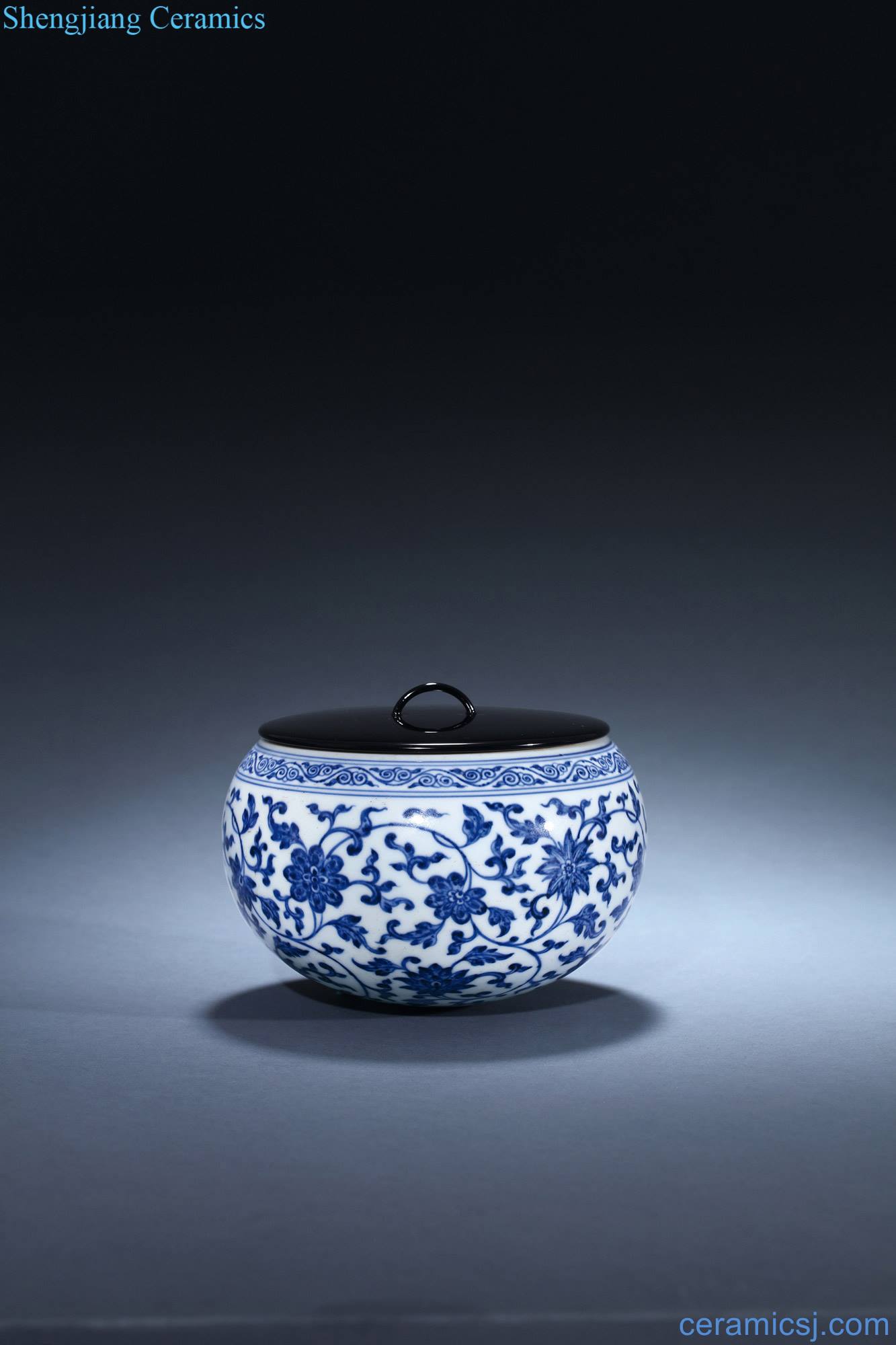Qing qianlong Blue and white flower pot around branches