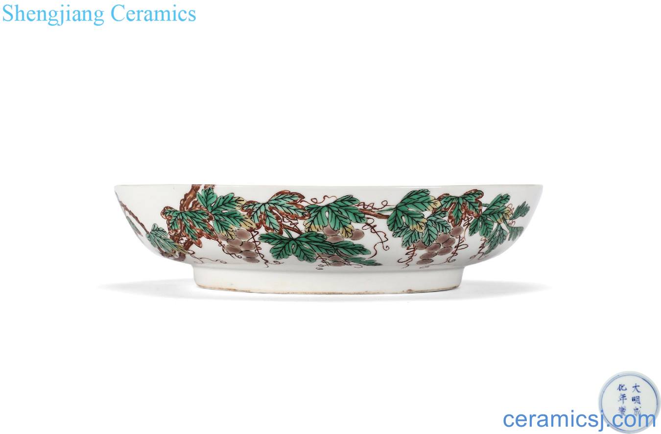 in White glazed qing mouth add kangxi colorful branches squirrel grape plate