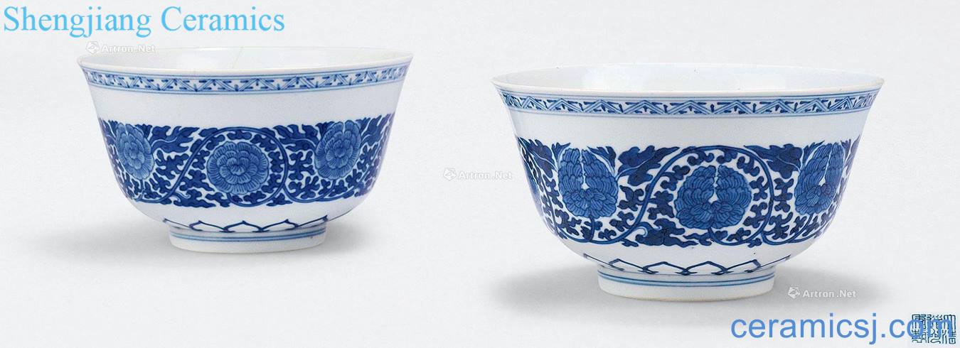 Qing daoguang Blue and white tie peony green-splashed bowls (a)