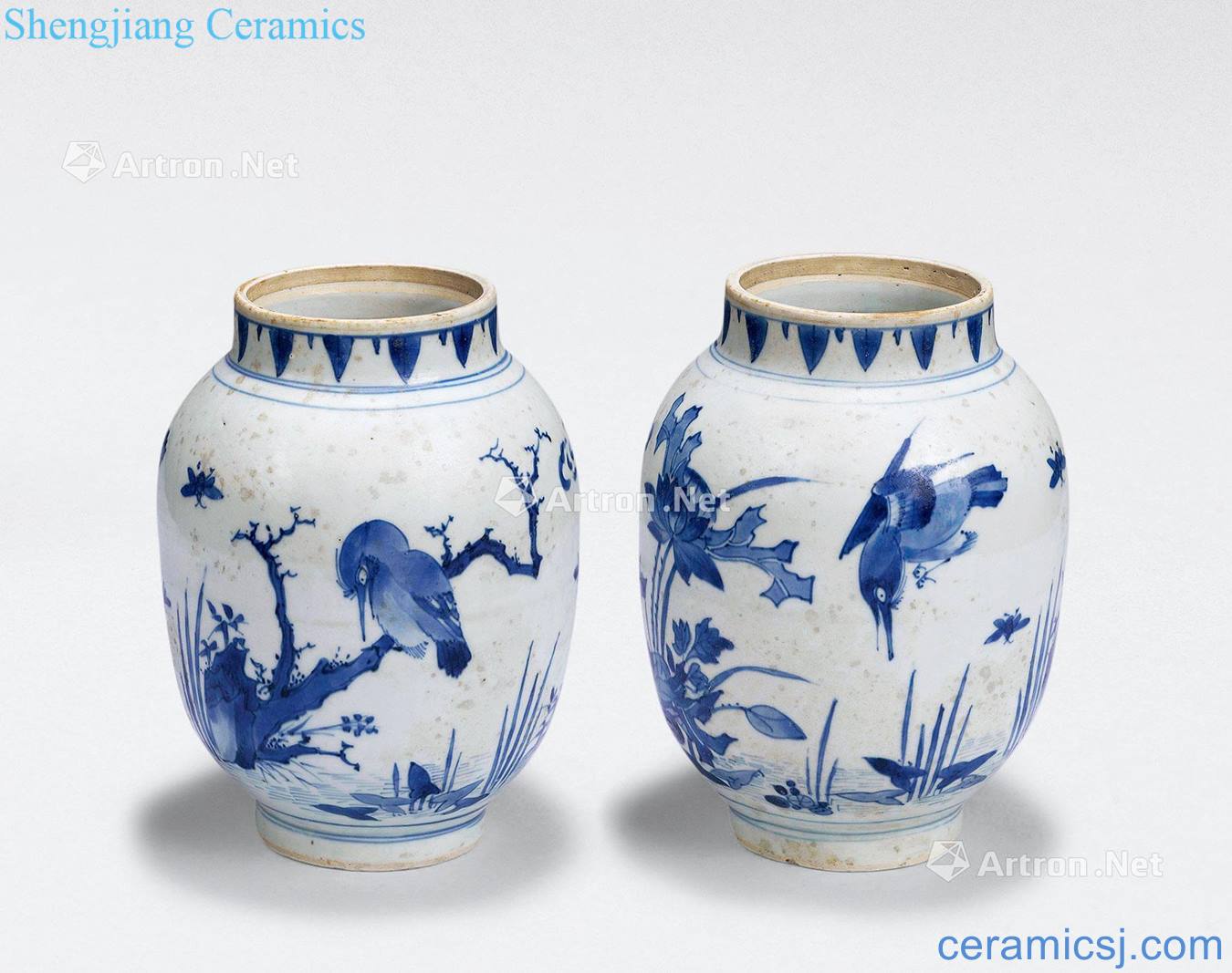 Ming Blue and white flower on lotus seed tank (a)