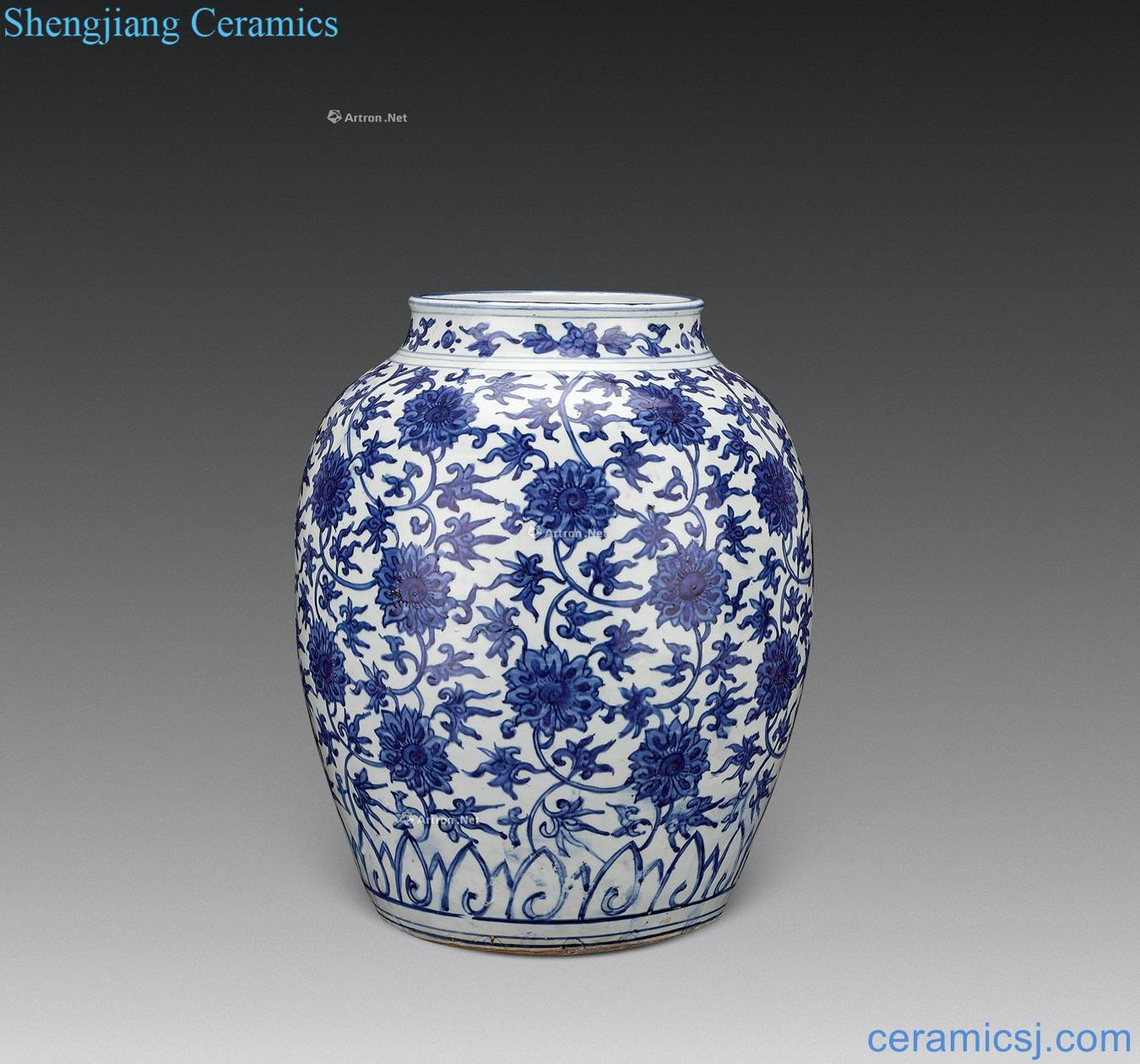Ming wanli Blue and white chrysanthemum grain large pot