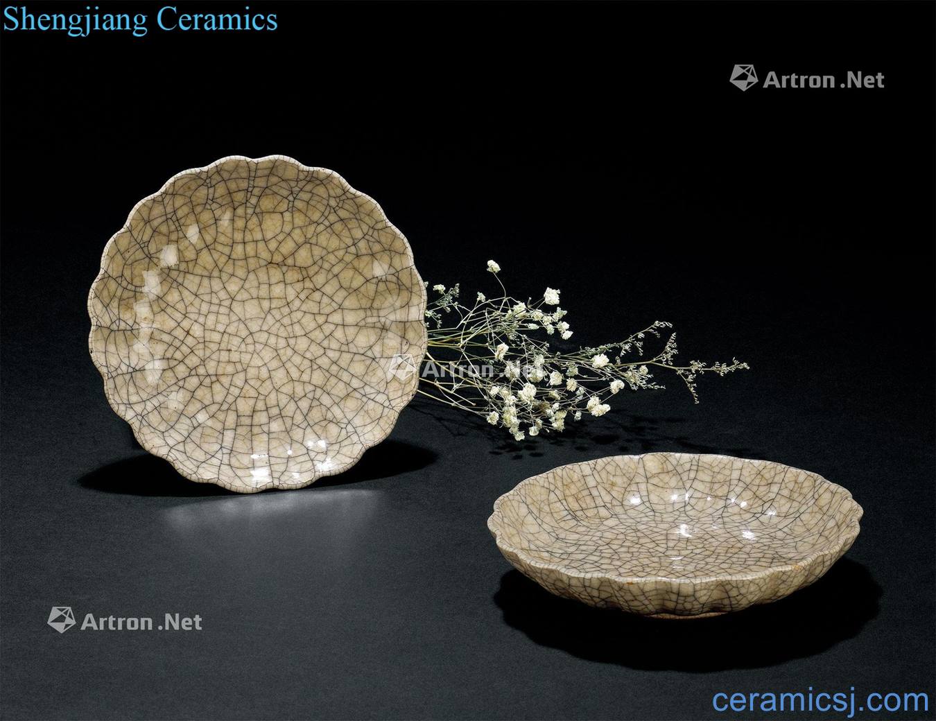 The elder brother of early Ming dynasty glaze chrysanthemum disc plate (a)