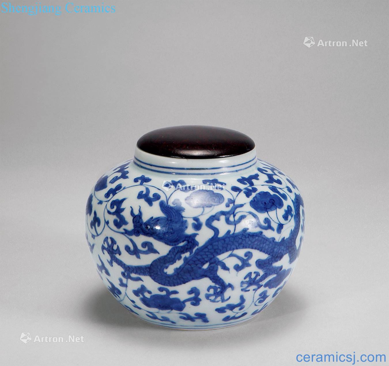 Ming jiajing Blue and white dragon wear pattern go tank