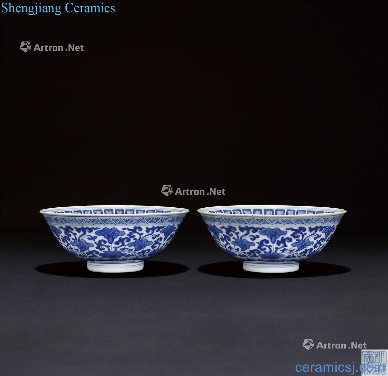 Qing daoguang Blue and white tie up branch lines bowl (a)