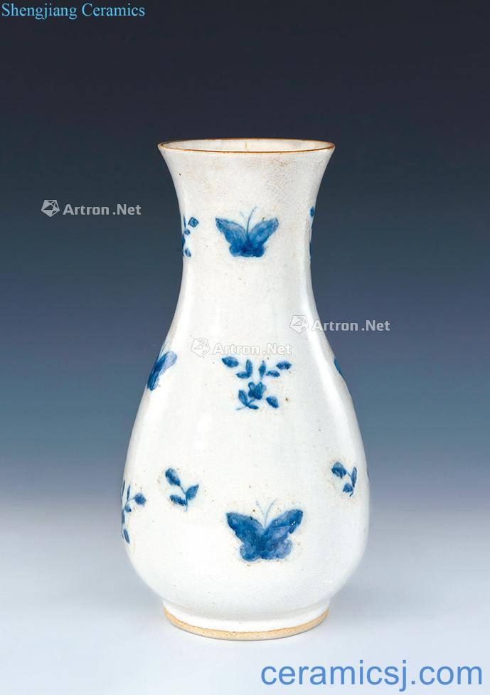 The late qing dynasty Blue and white flower butterfly tattoo bottles