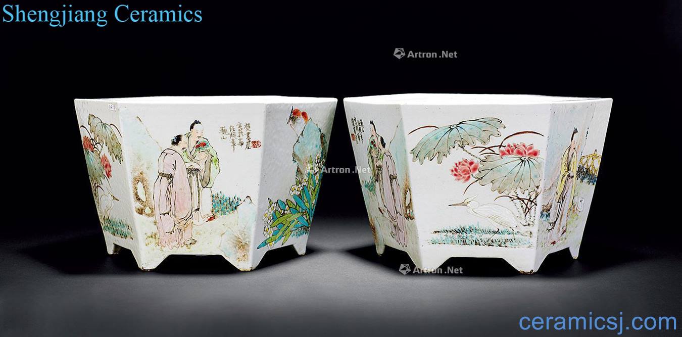 Late qing "Ren Huanzhang" shallow drop flowers and birds characters hexagonal pot (a)