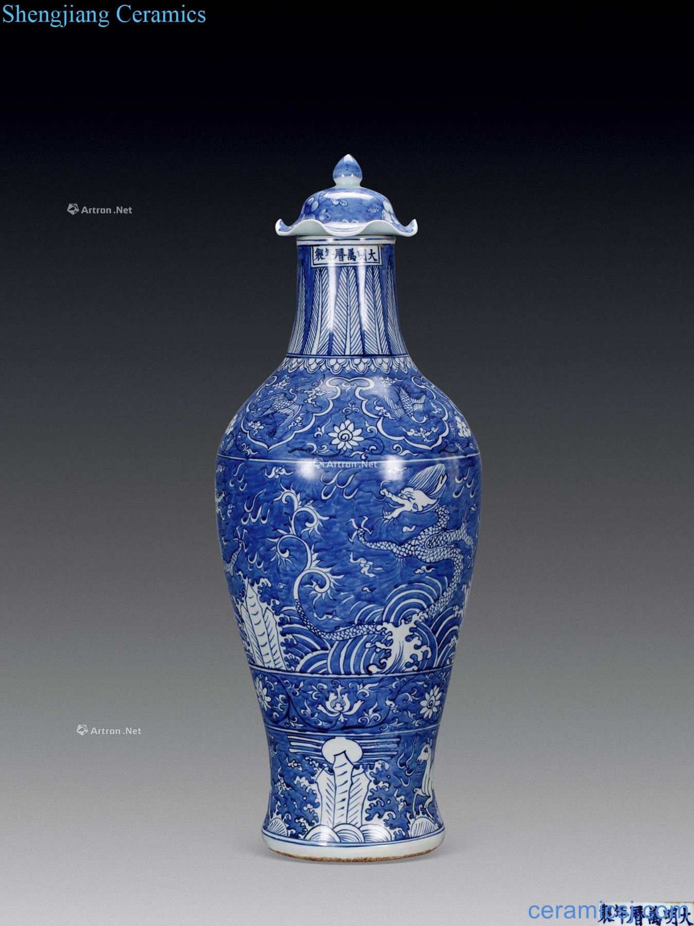 Ming Blue sea dragon bottle cap