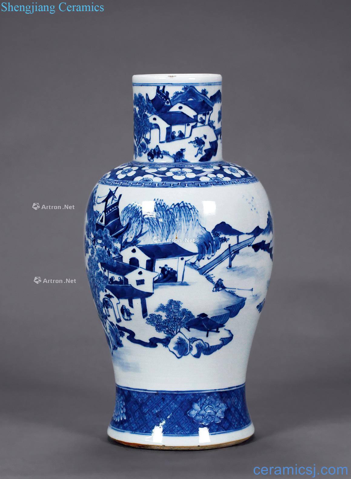 qing Blue and white fish bottle