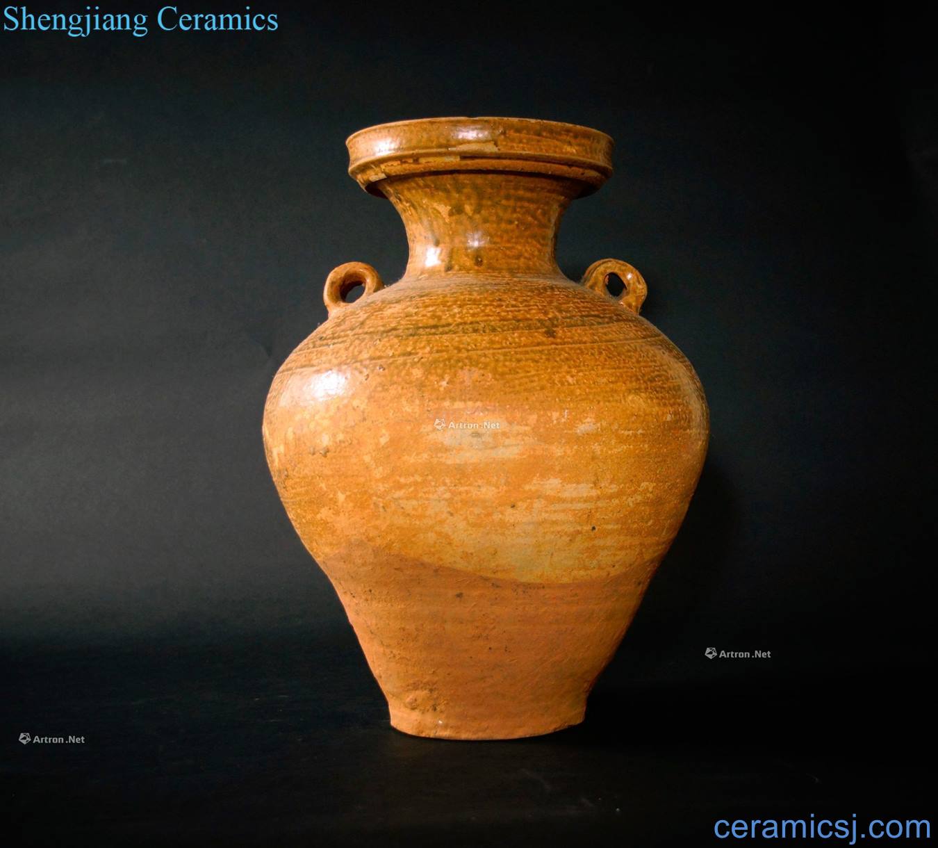 The tang dynasty celadon dish is a large bottle of my ears