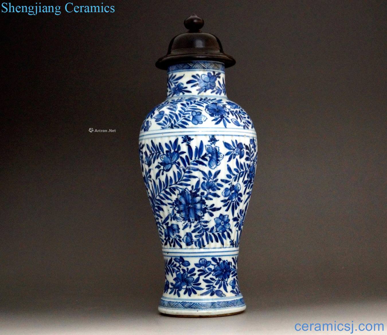 The qing emperor kangxi Blue and white floral design