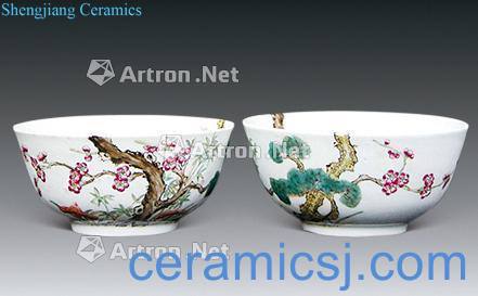 Qing qianlong pastel, poetic bowl wall (a)