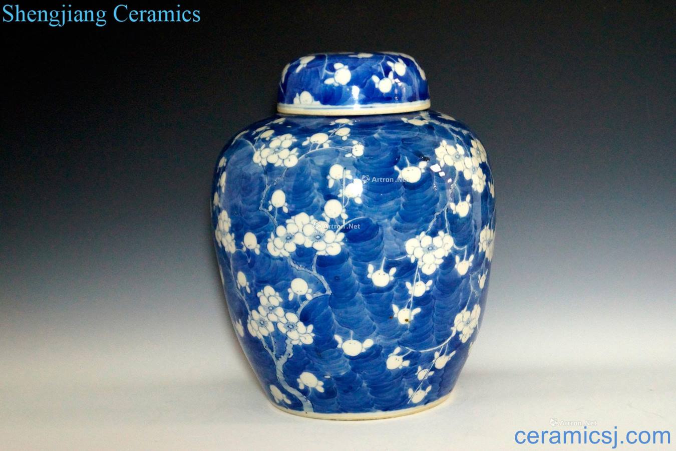 Qing guangxu Blue and white ice may cover tank