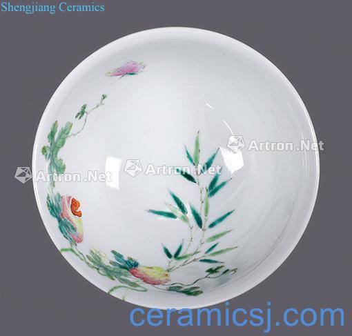 Qing jiaqing pastel wall flower fruit bowl