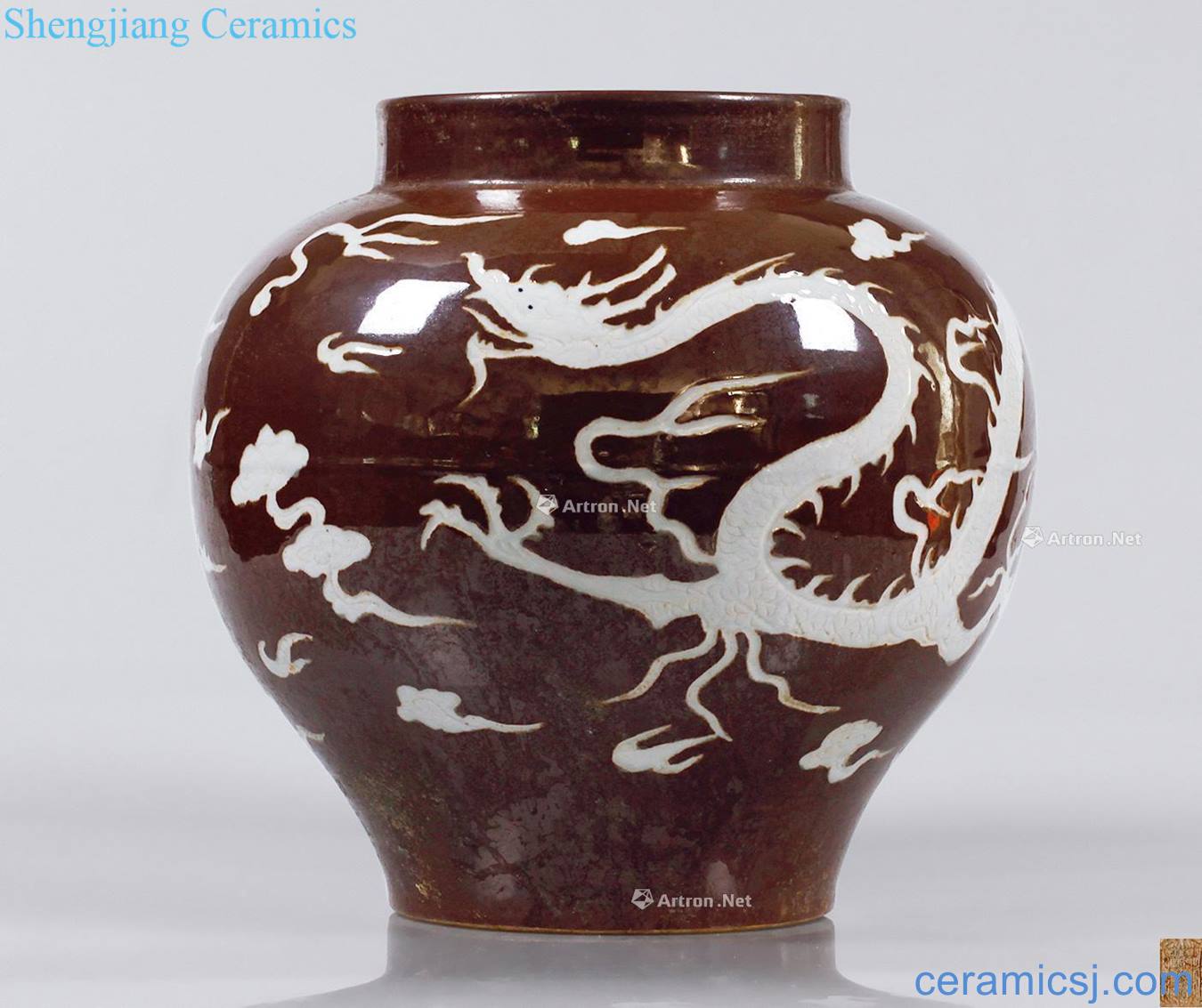 Sauce glaze dragon tank in early Ming dynasty